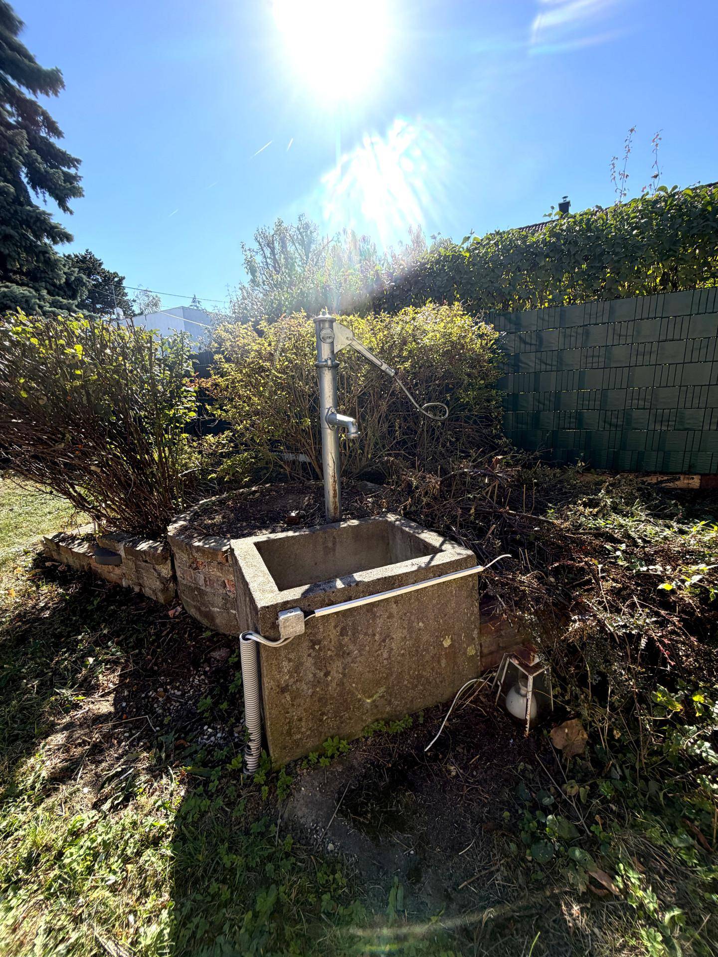 Rustikale Wasserpumpe mit Steinbecken im Garten, umgeben von üppigem Grün und Sträuchern.