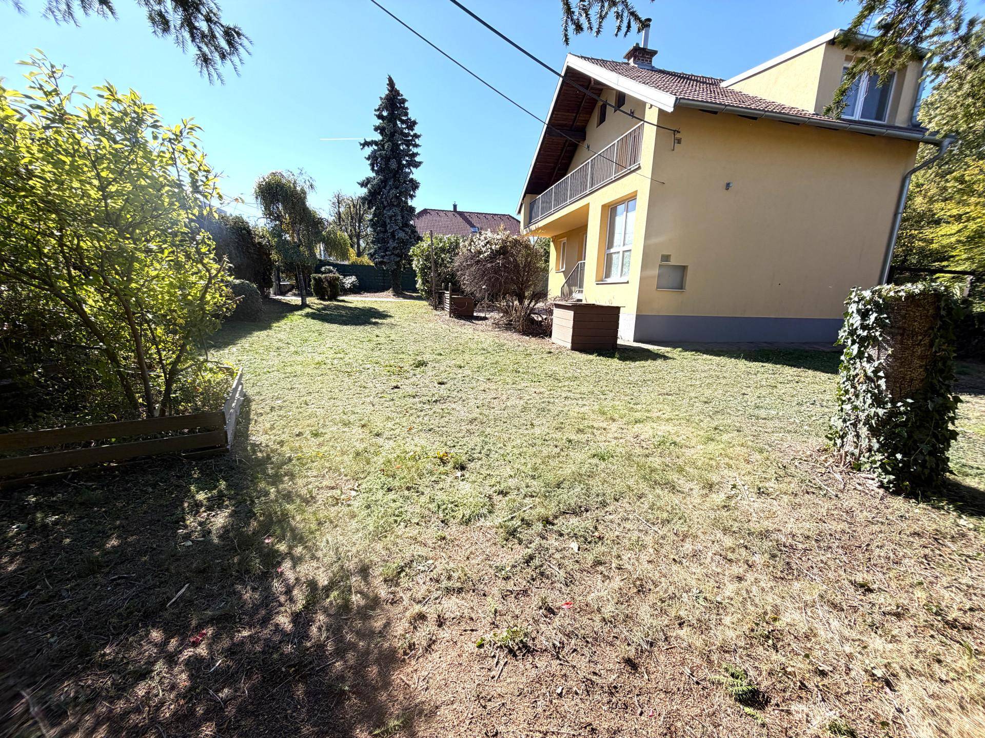 Großer, gepflegter Gartenbereich mit Rasenfläche, Bäumen und Sträuchern, ideal zum Entspannen.