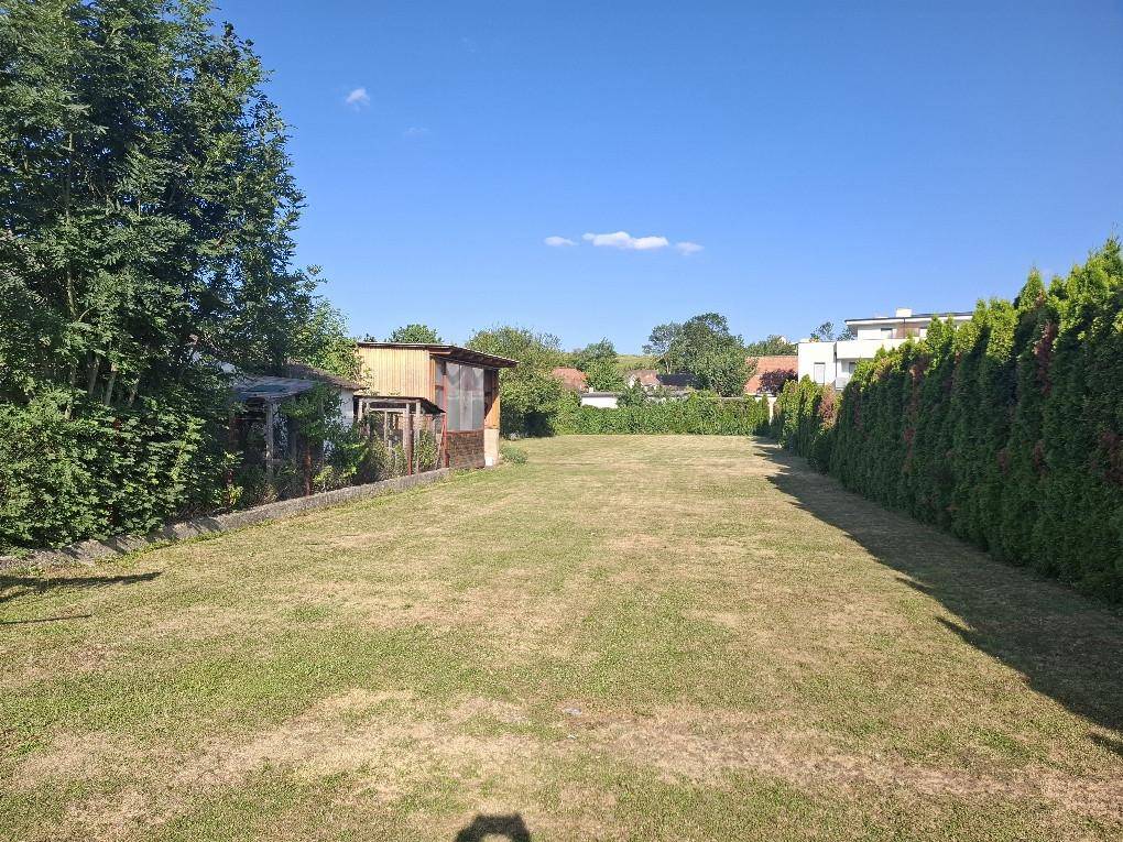 große, ebene Gartenfläche