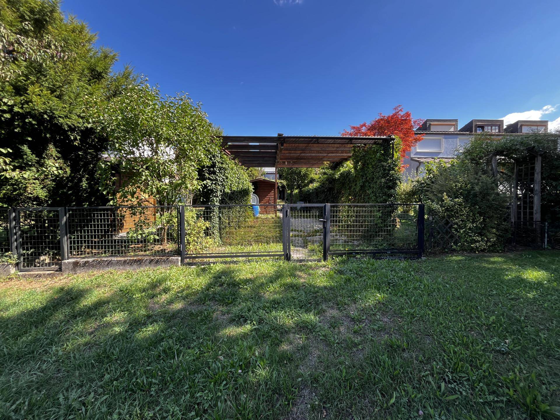 Eingezäunter Gartenbereich mit Rasenfläche, Bäumen und einer Pergola im Hintergrund.