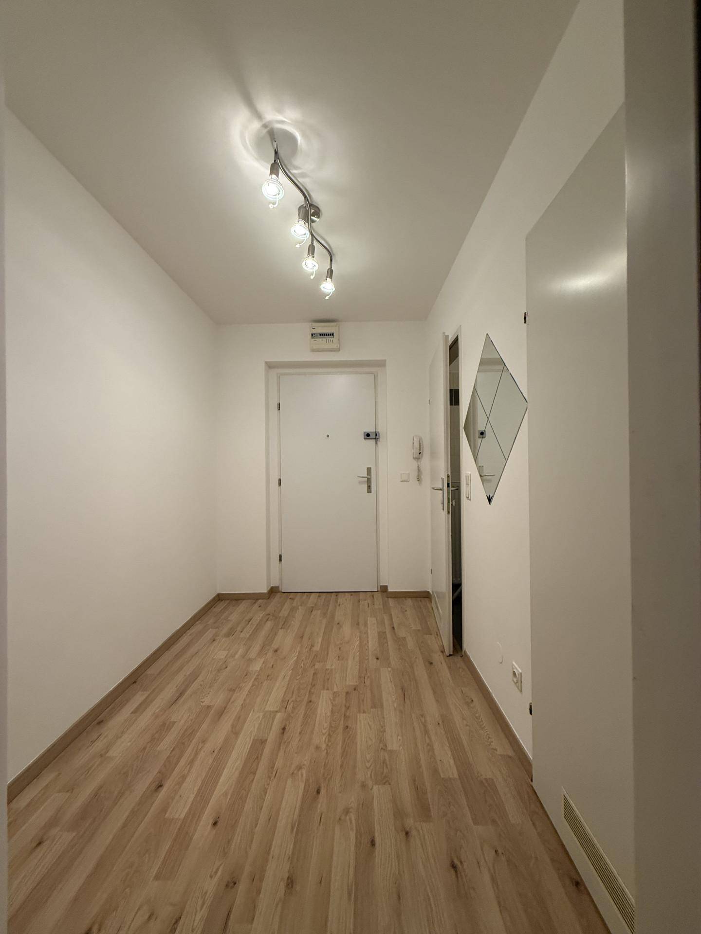 Heller Flur mit Laminatboden und Eingangstür, ausgestattet mit einer modernen Deckenleuchte.
