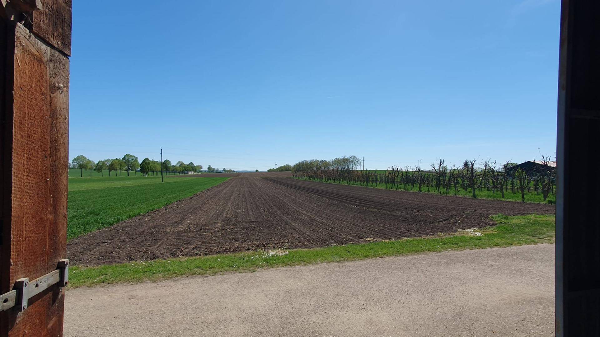 Rückseitiger Ausblick