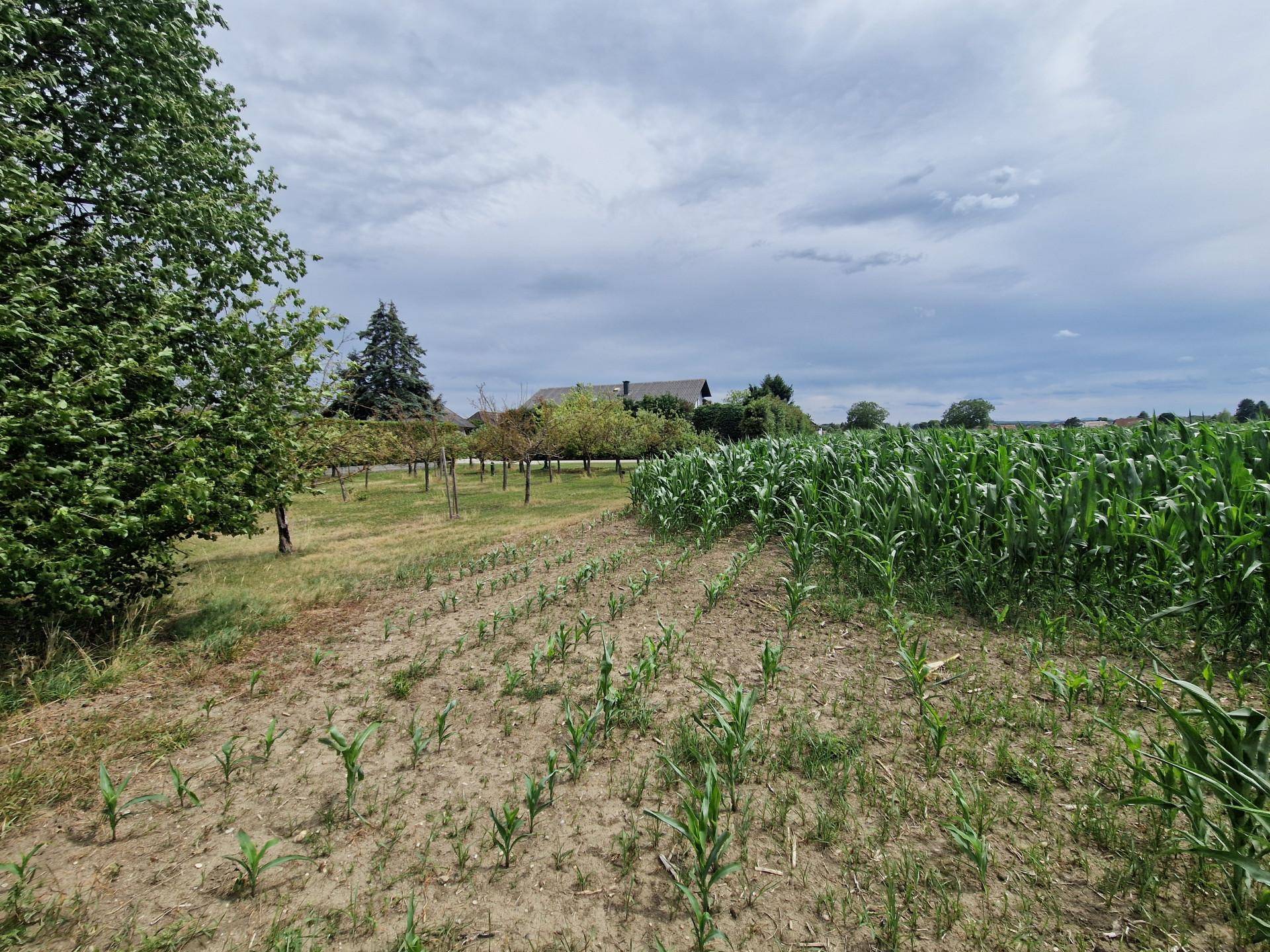 Ansicht3