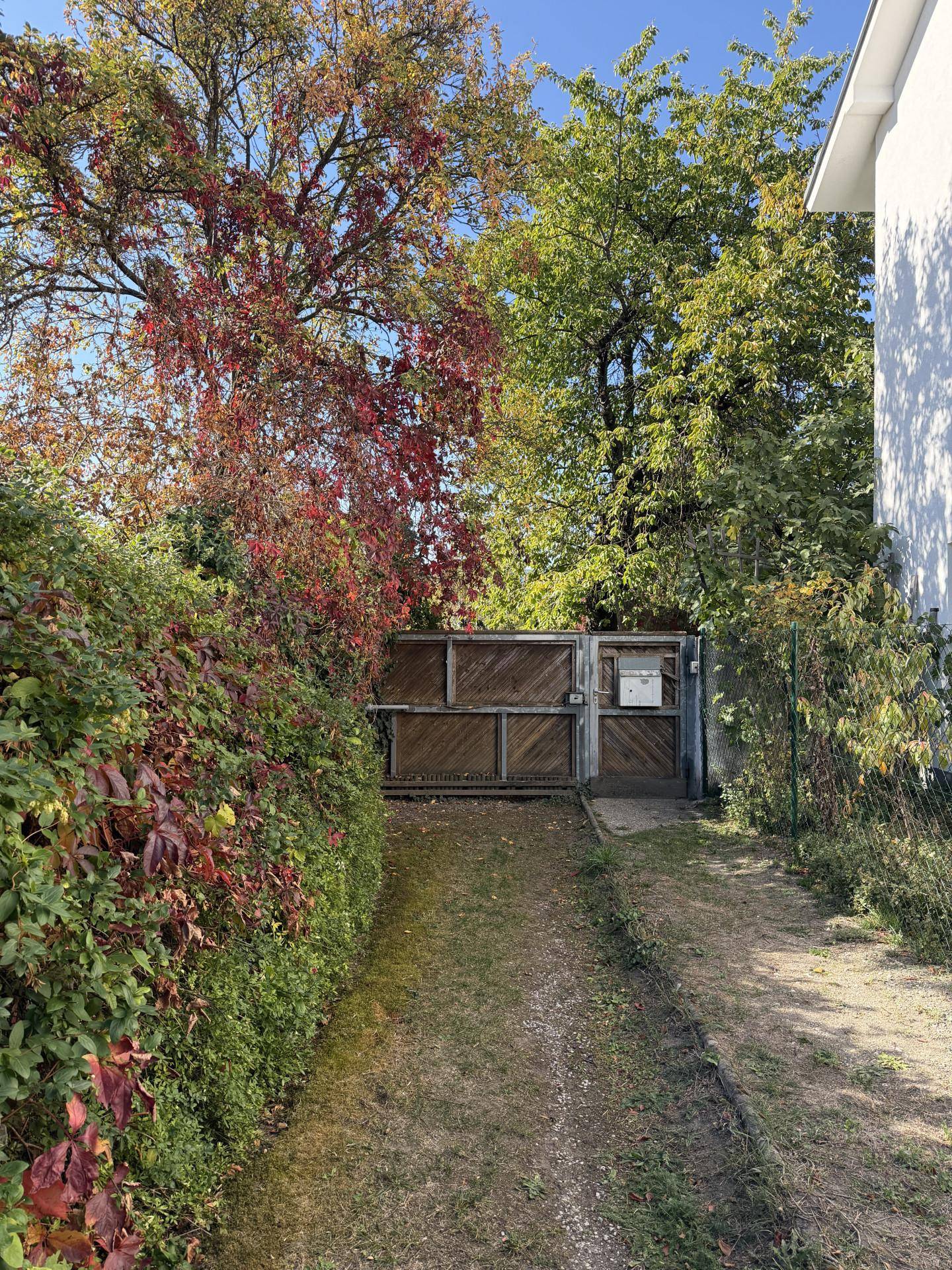Zufahrt zum Grundstück mit Holztor und üppiger Hecke, umgeben von herbstlichem Laub.
