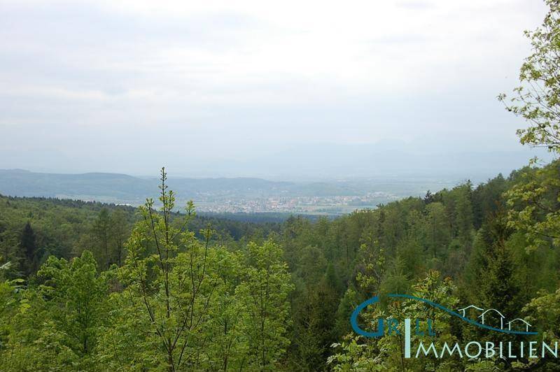Weitläufiger Blick über eine bewaldete Landschaft mit einer Siedlung und Bergen in der Ferne.