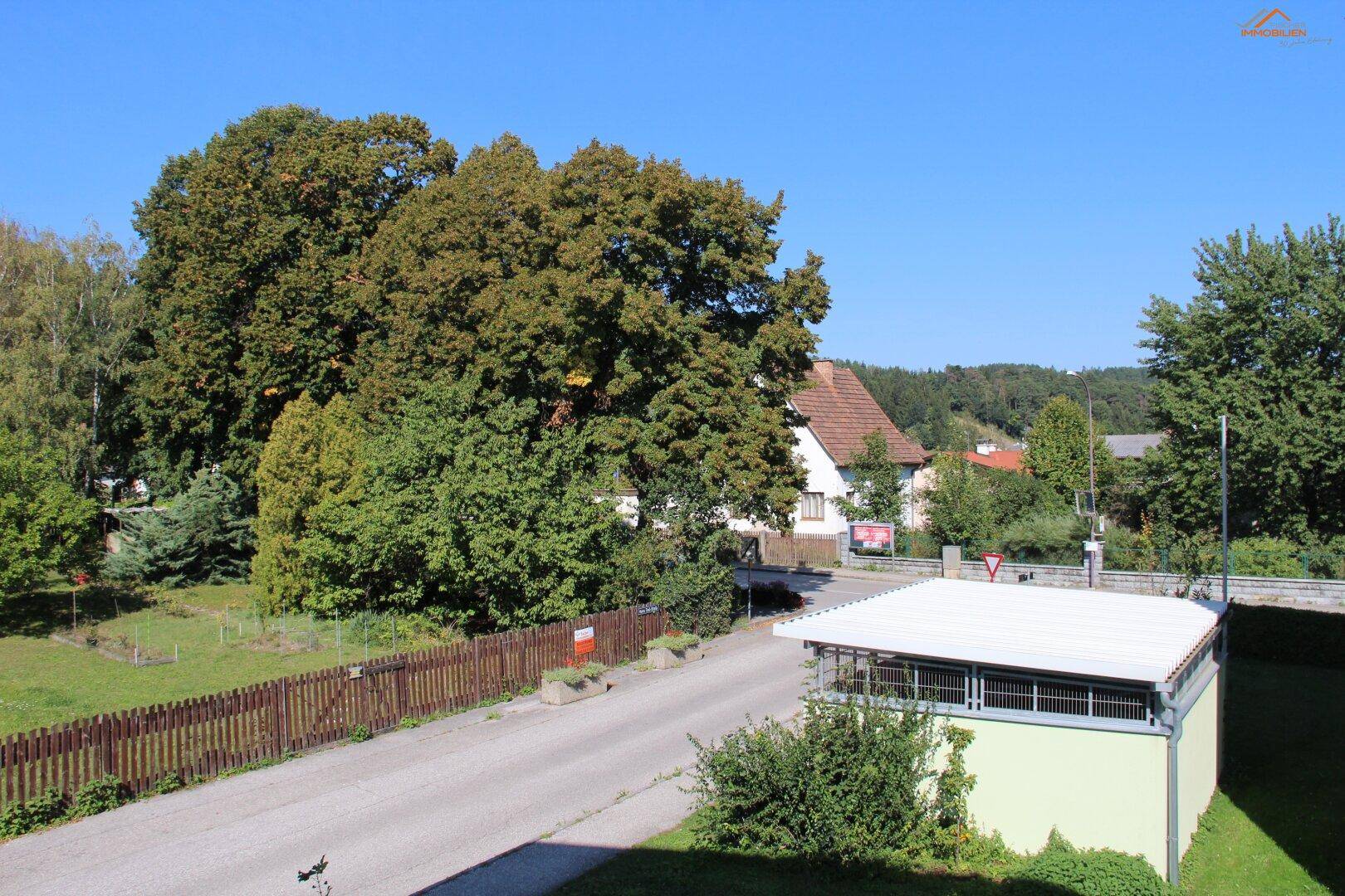 Blick auf eine ruhige Straße mit großen Bäumen und einem kleinen Nebengebäude im Grünen.