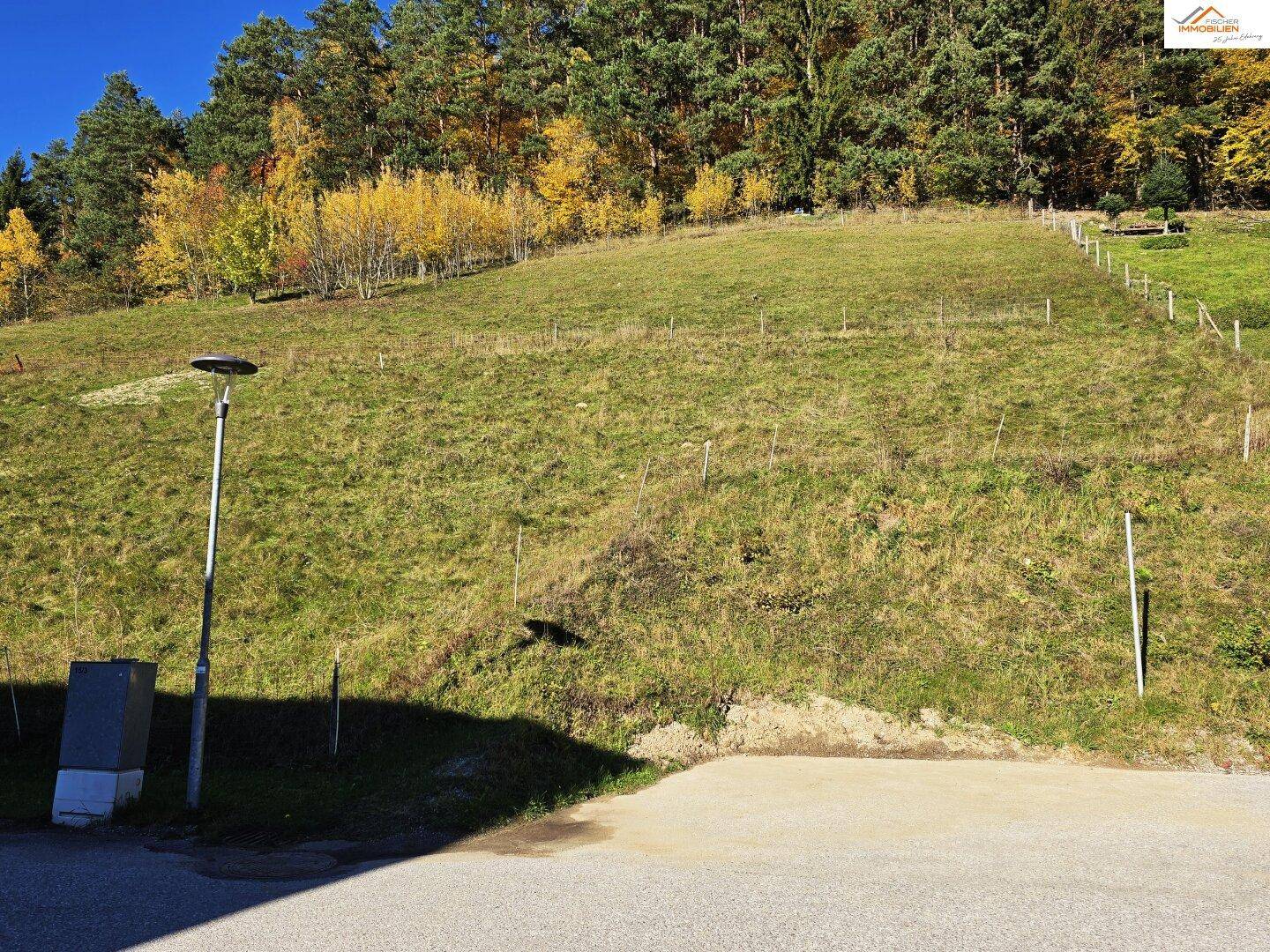Steiler grüner Hang mit Bäumen in Herbstfarben und einem Laternenpfahl am unteren Rand des Bildes.