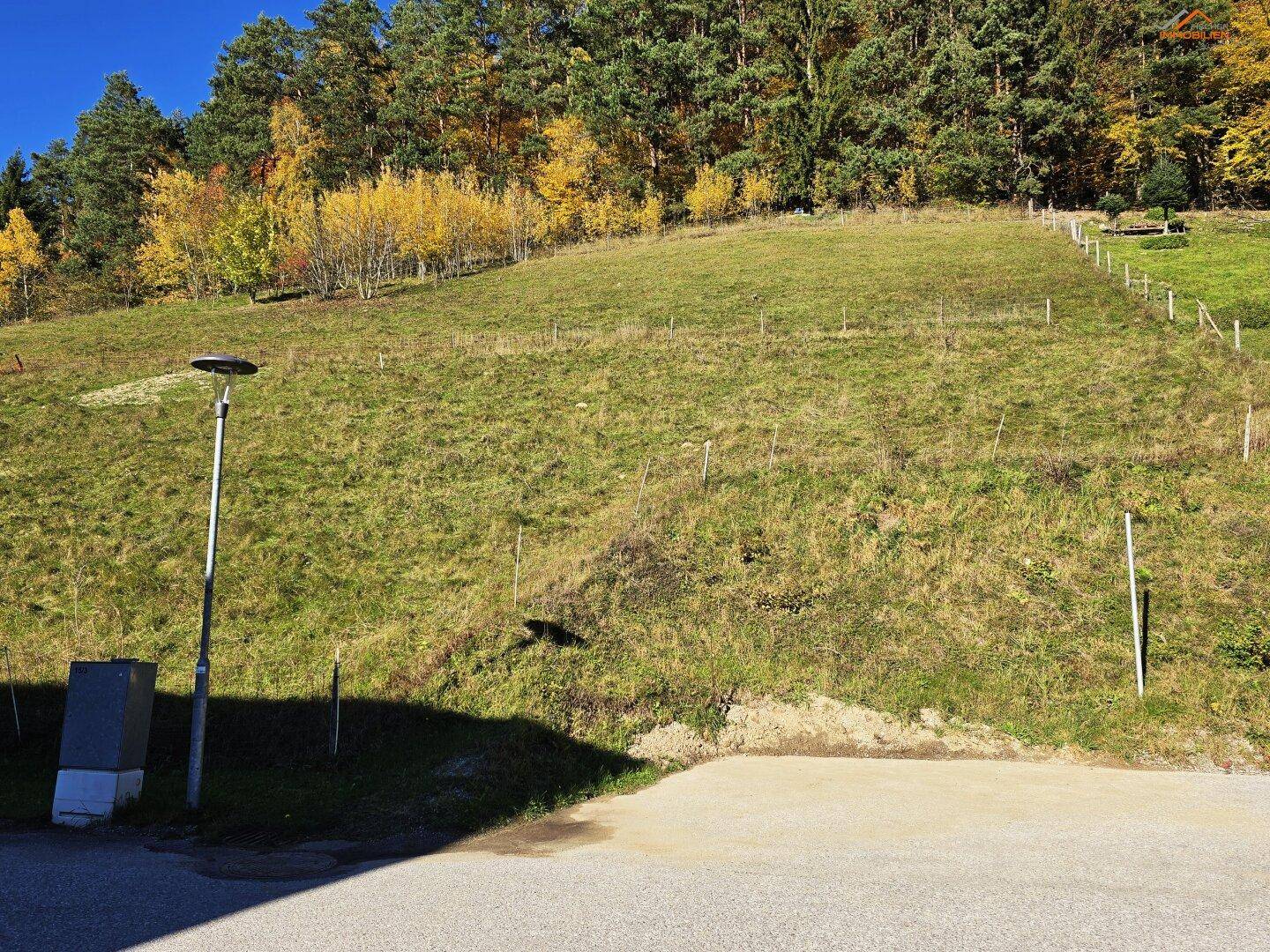 Steiler grüner Hang mit Wald im Hintergrund, angrenzend an eine asphaltierte Fläche mit Straßenlaterne.