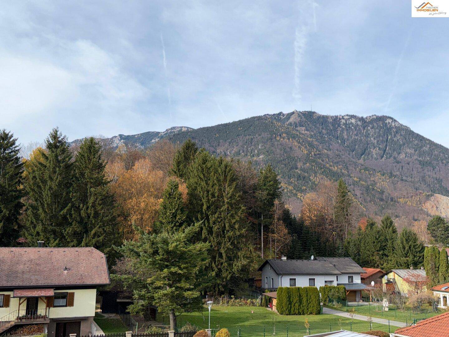 Weitläufiger Blick auf die umliegende Berglandschaft mit Bäumen und Wohnhäusern.
