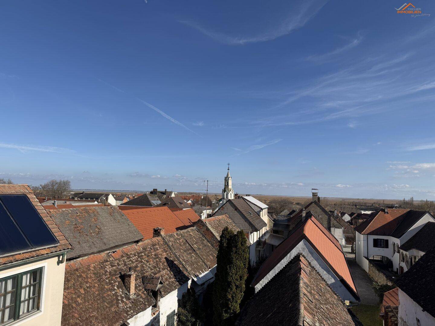 Panoramablick über die historischen Dächer der Stadt unter blauem Himmel.