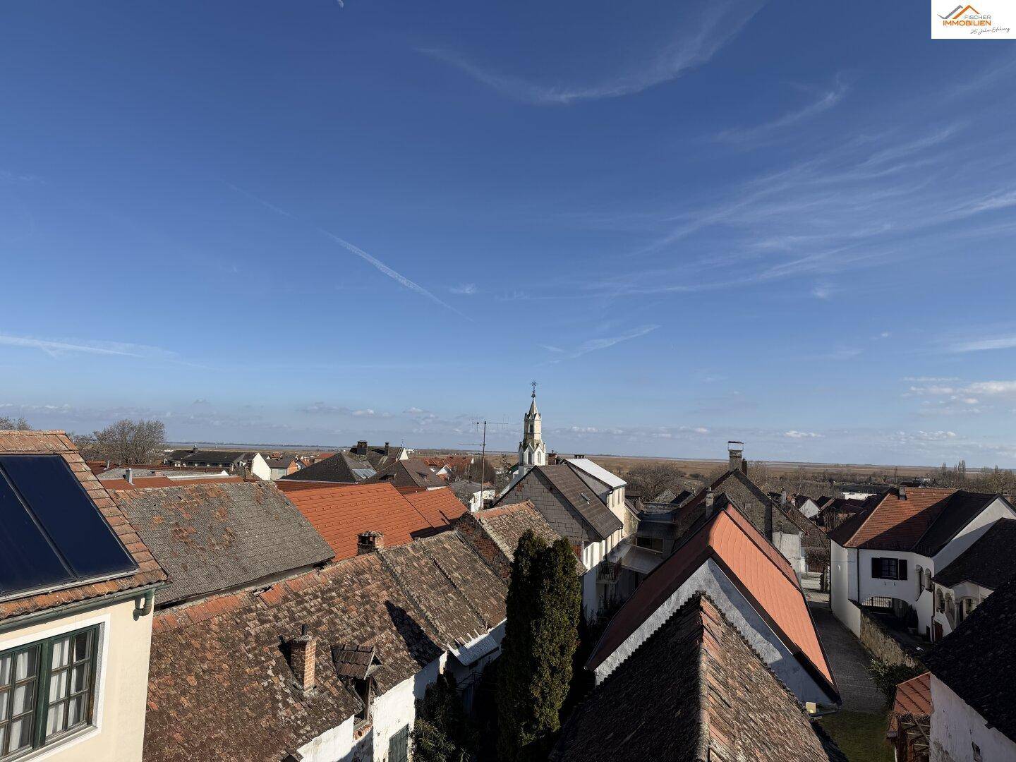Panoramablick über die Dächer der Stadt mit einem Kirchturm und weitem Horizont.