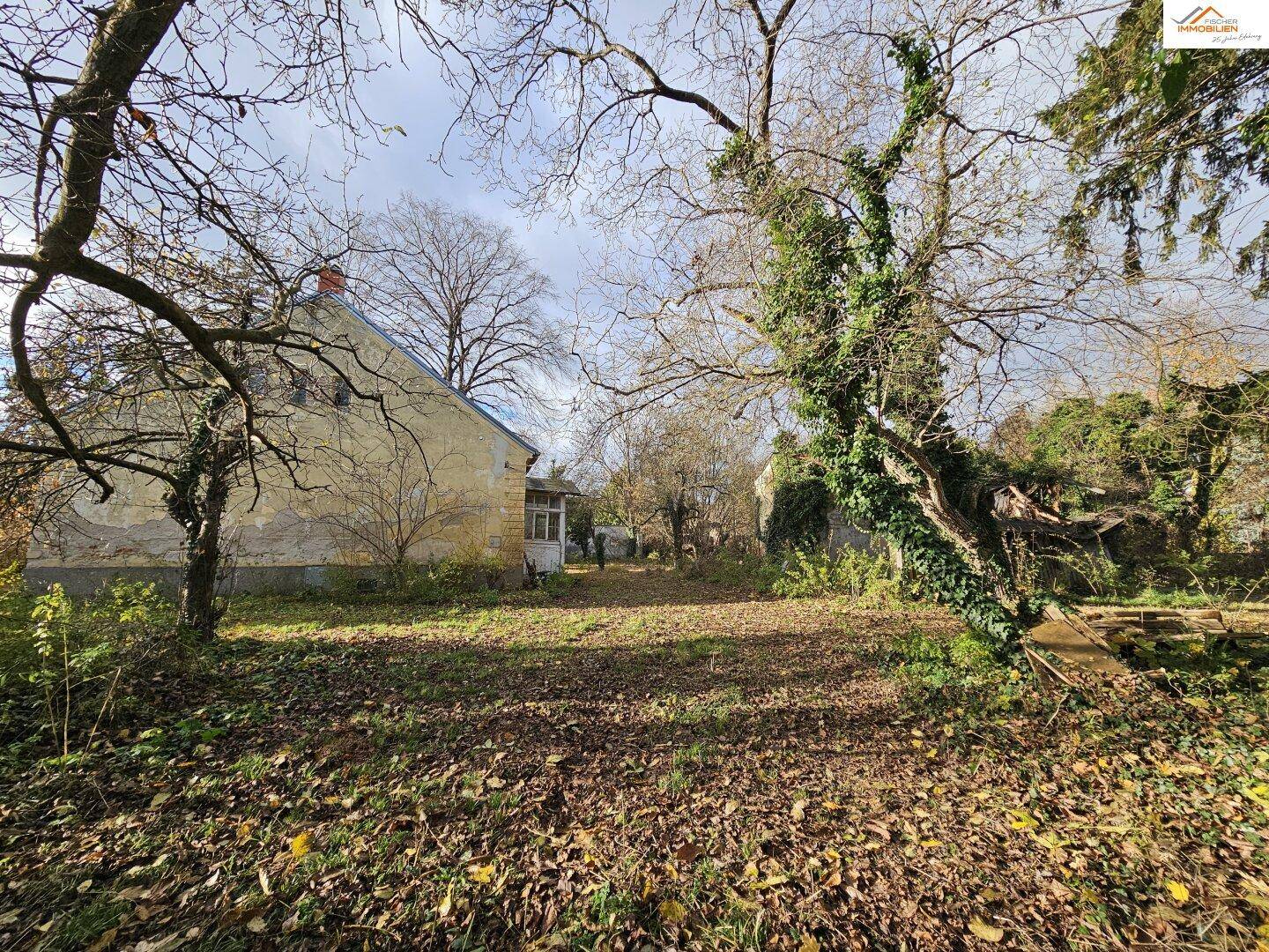 Seitenansicht des Gebäudes mit Blick über das naturbelassene Grundstück und die umgebende Vegetation.