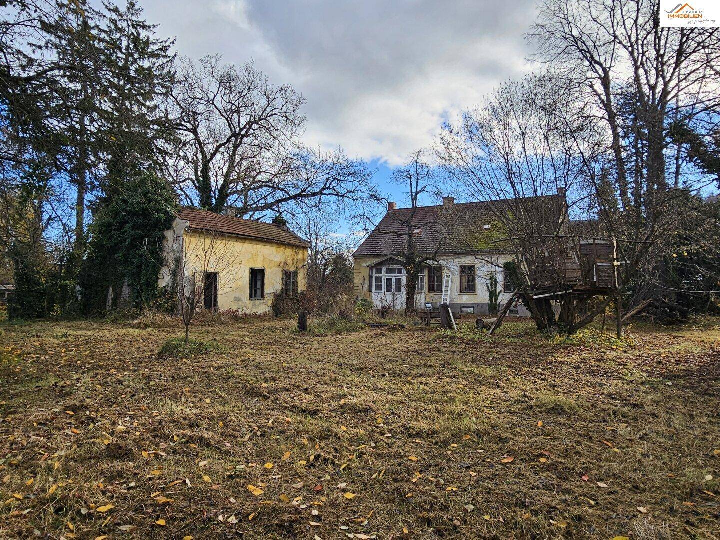 Das Hauptgebäude und ein Nebengebäude auf dem weitläufigen Grundstück, umgeben von altem Baumbestand.