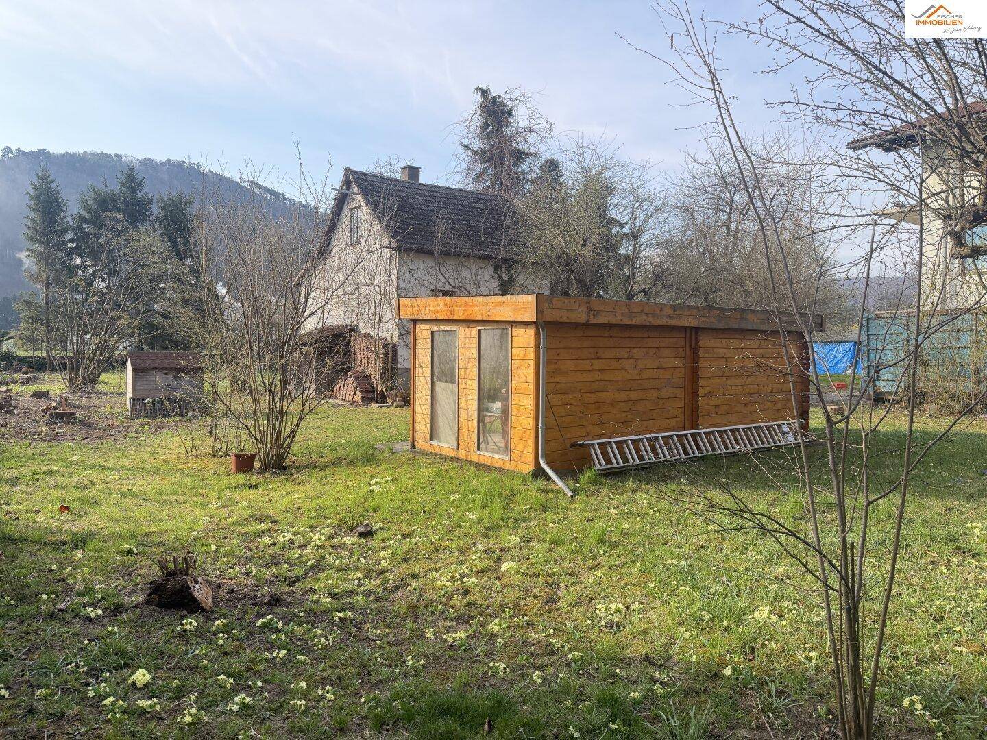 Blick auf den Holzschuppen im Garten mit Fenstern und einer Leiter, umgeben von Bäumen.