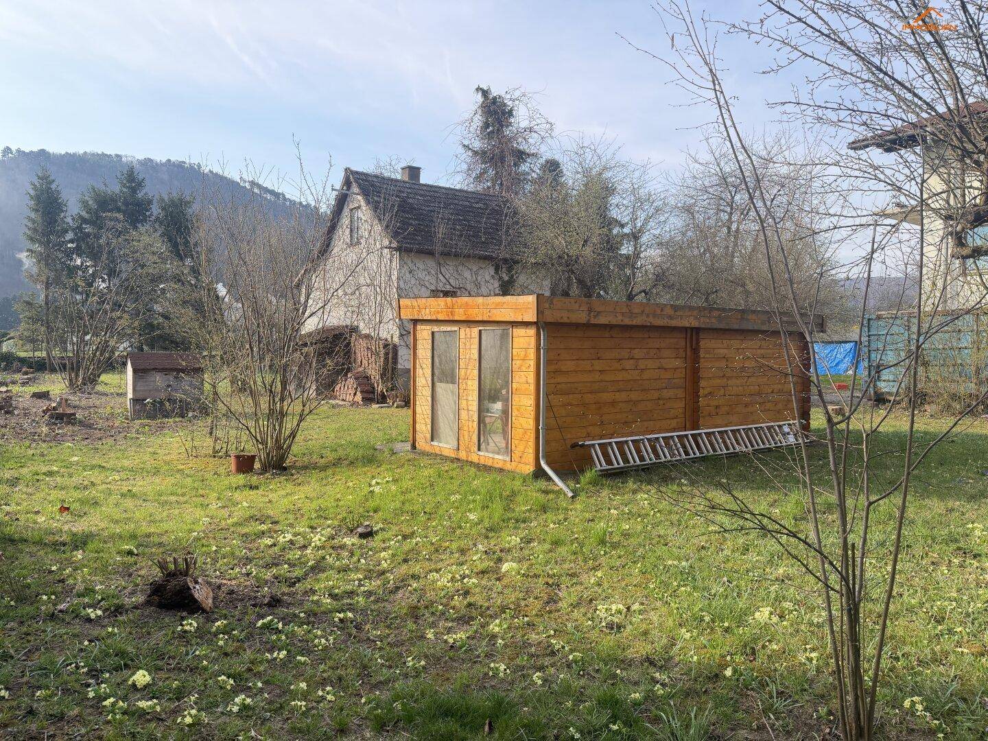 Blick auf den Garten mit einem modernen Holzschuppen und dem Haus im Hintergrund unter blauem Himmel.