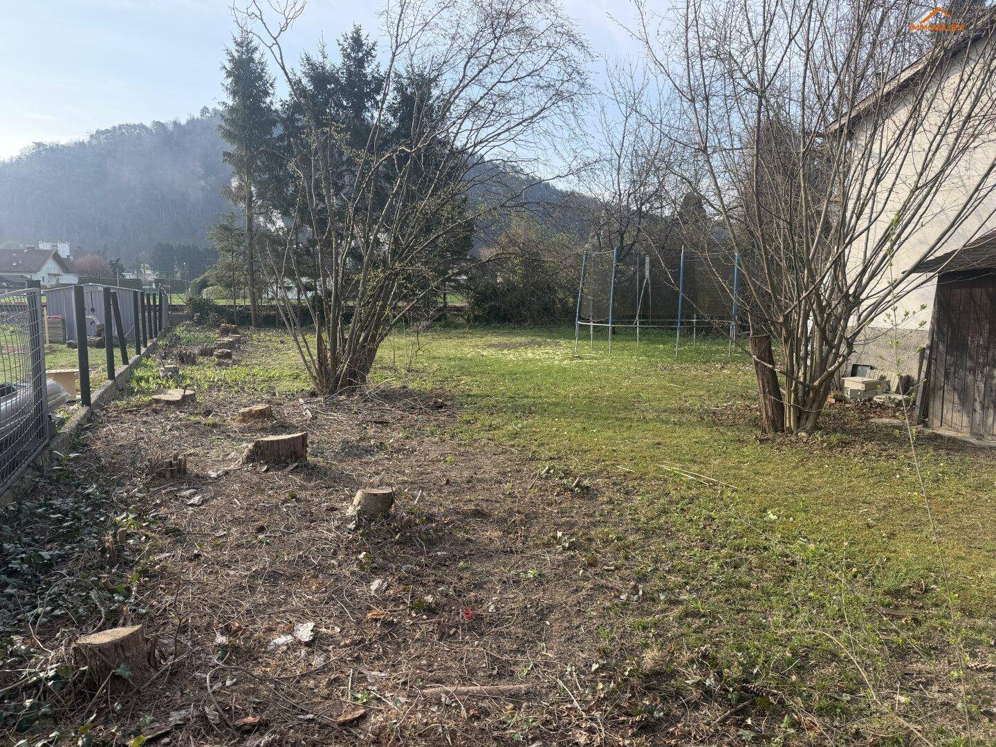 Weitläufiger Gartenbereich mit Baumstümpfen und einem Trampolinrahmen, umgeben von kahlen Bäumen.