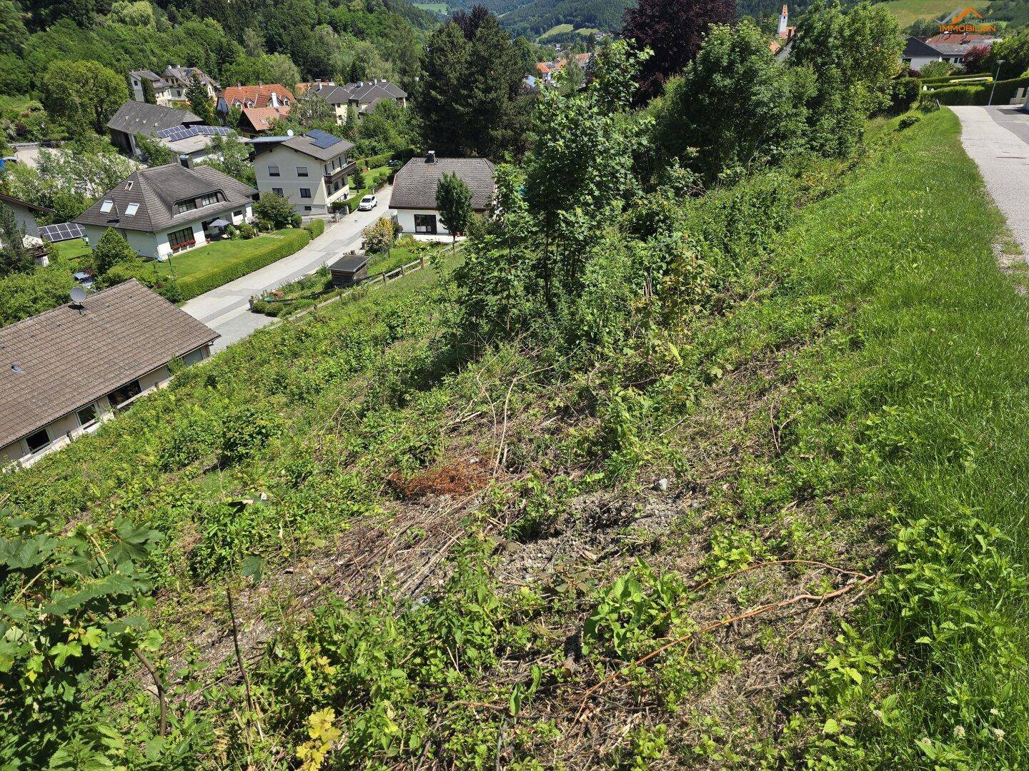 Nahaufnahme eines bewachsenen Hangs mit Blick auf eine Wohnsiedlung und eine Straße im Hintergrund.