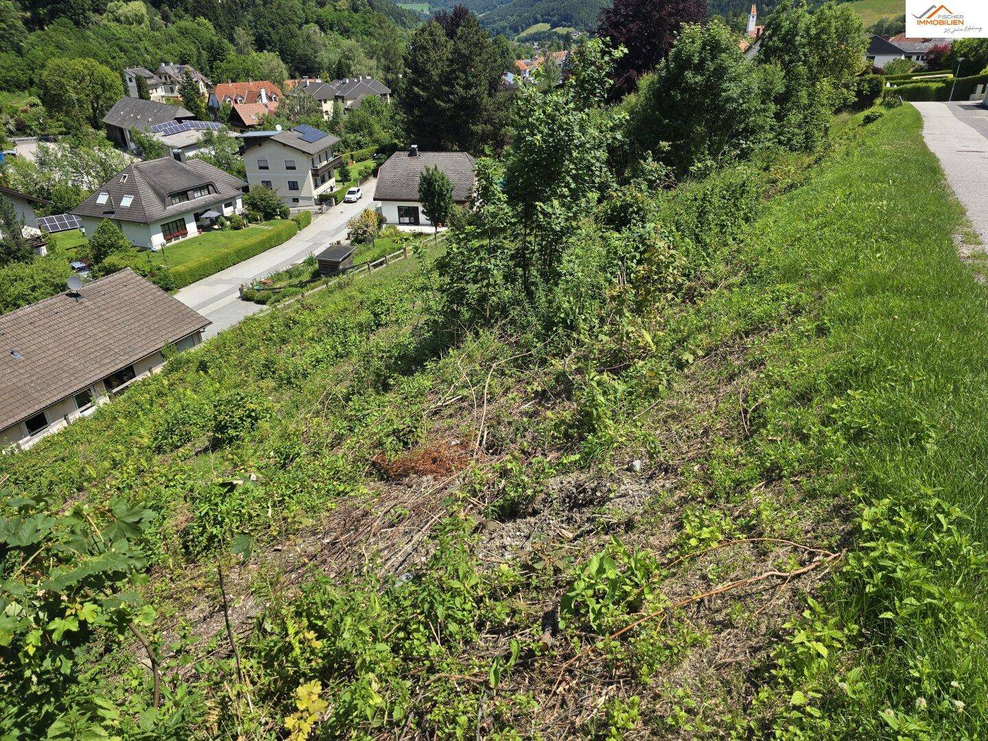 Blick auf eine bewachsene Böschung mit Häusern und einer Straße im Hintergrund an einem sonnigen Tag.