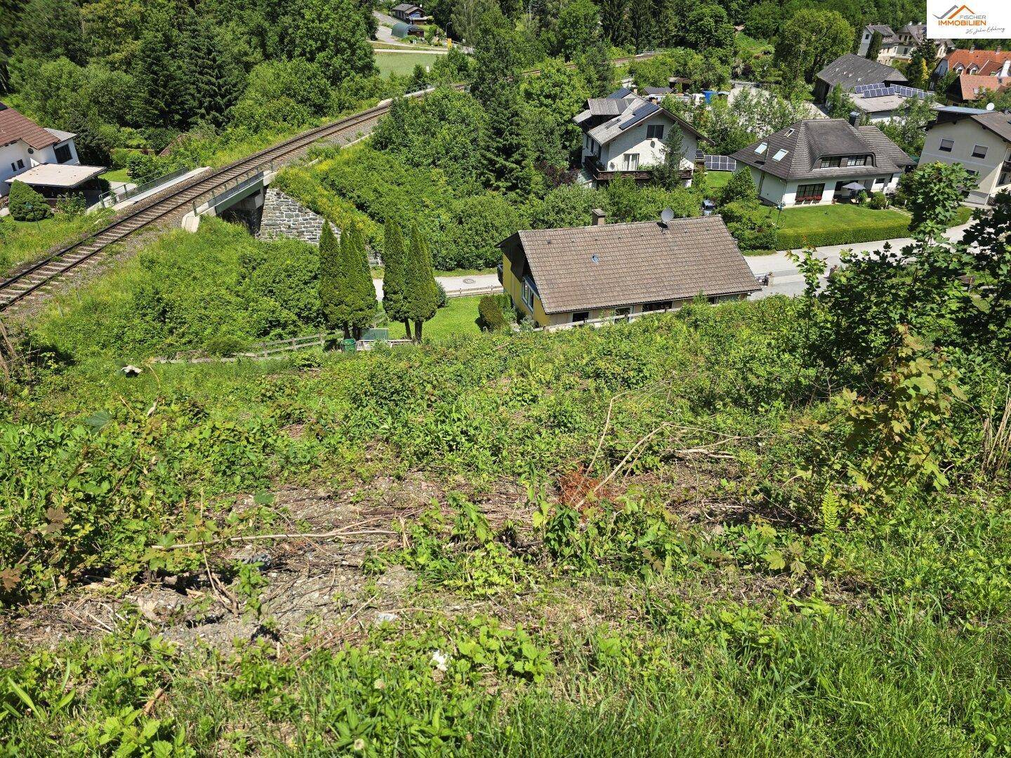 Nahaufnahme einer grünen Böschung mit Blick auf Häuser und eine Eisenbahnbrücke im Hintergrund.