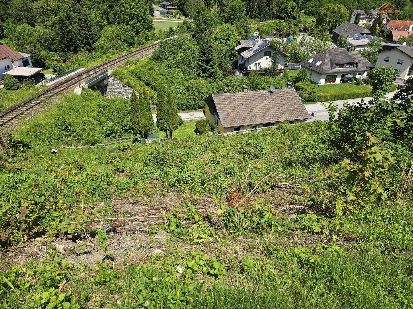 Blick von einem bewachsenen Hang auf Häuser und eine Eisenbahnbrücke in einer grünen Landschaft.