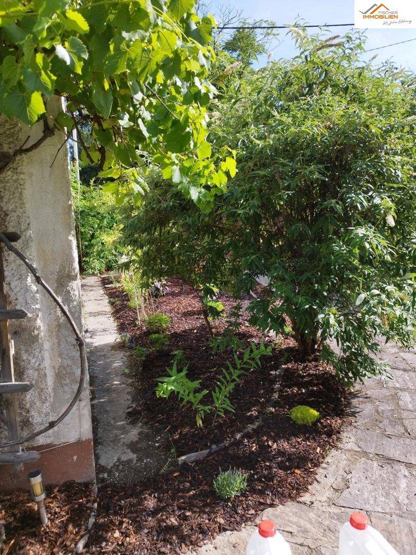 Wohnen in ruhiger Lage – Familienhaus mit Garten und Potenzial - Widok 3