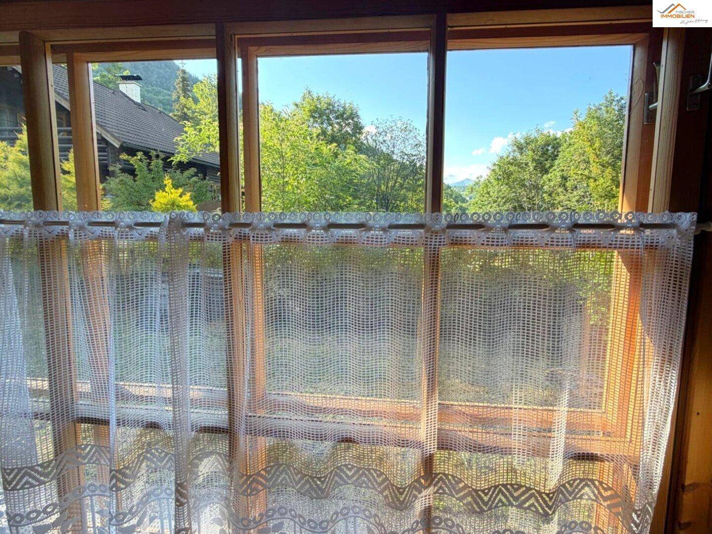 Fenster mit Spitzenvorhängen bietet einen idyllischen Blick auf die grüne Natur und Bäume.