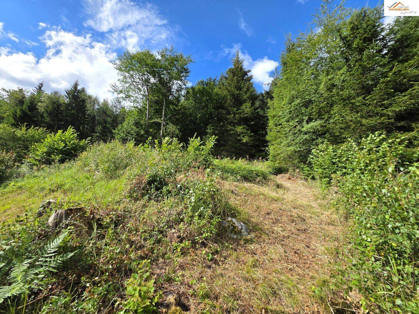 Naturbelassener Gartenbereich mit üppiger Vegetation, Bäumen und Sträuchern in Hanglage.