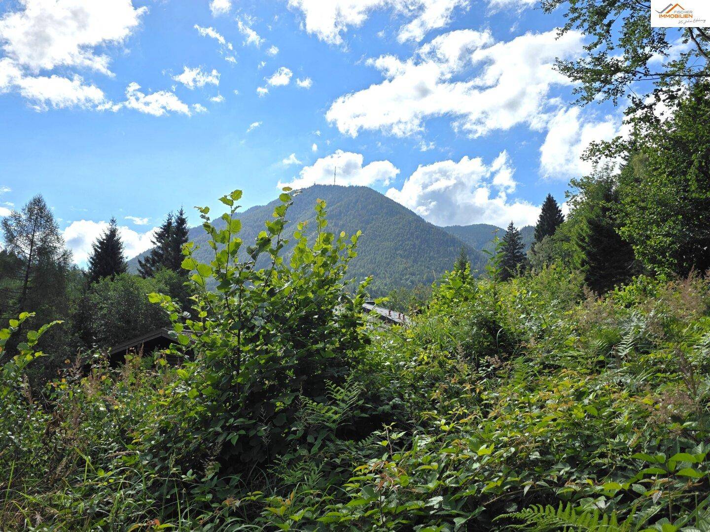 Malerischer Ausblick auf bewaldete Berge und eine weite grüne Landschaft unter blauem Himmel.