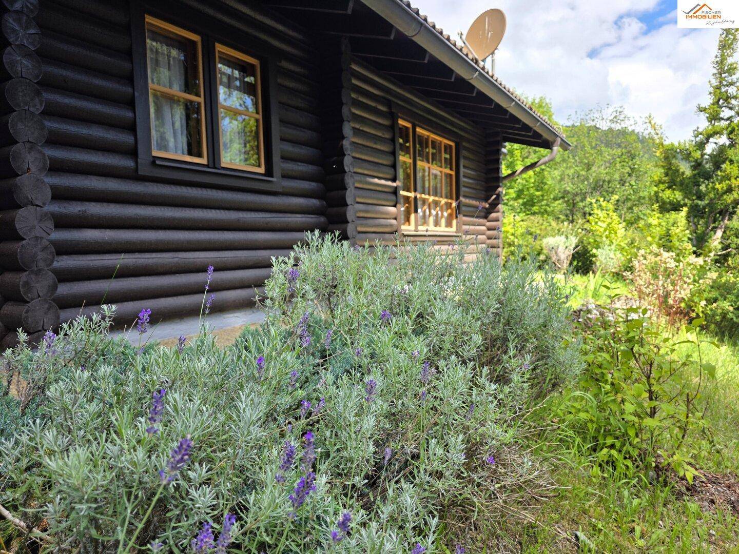 Detailansicht der Blockhausfassade mit Holzfenstern und blühendem Lavendel im Vorgarten.
