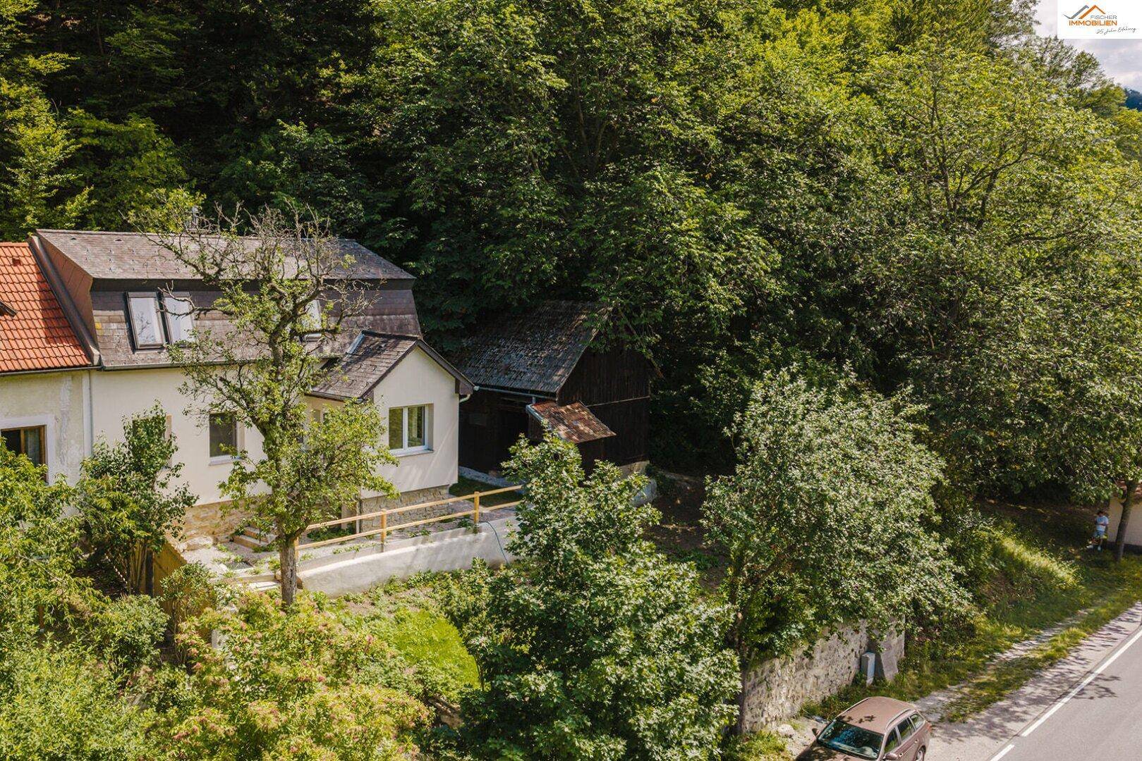Luftaufnahme des Hauses und eines Nebengebäudes, umgeben von dichtem Grün.