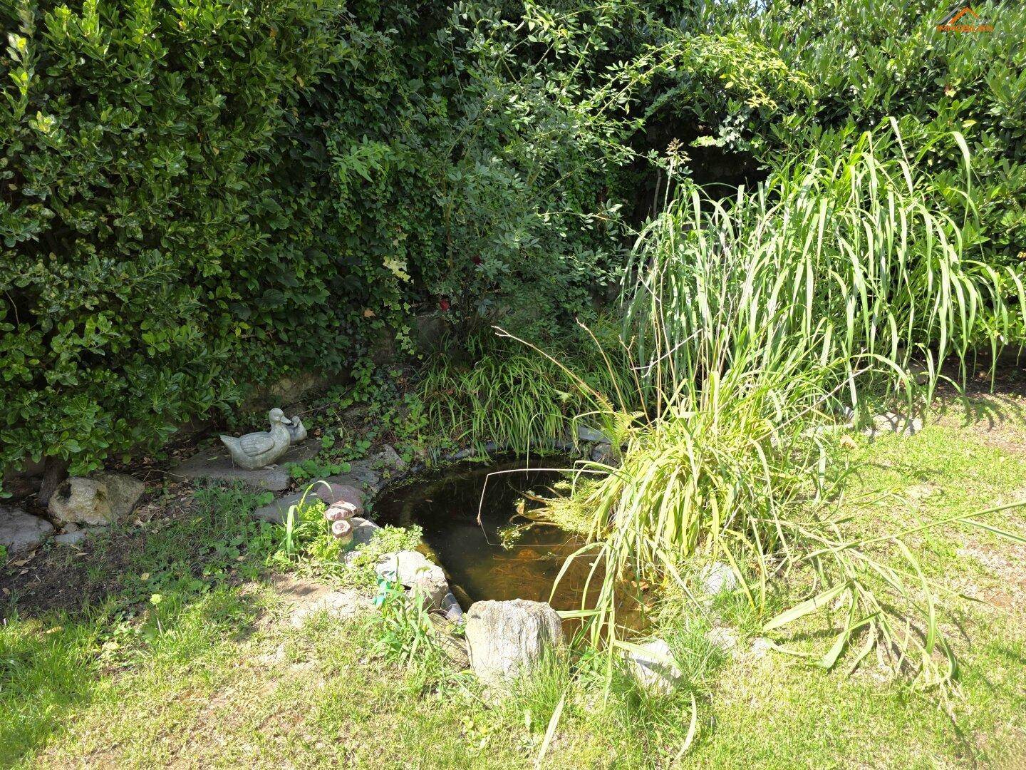 Kleiner Gartenteich mit Wasserpflanzen und dekorativen Elementen im Grünen.