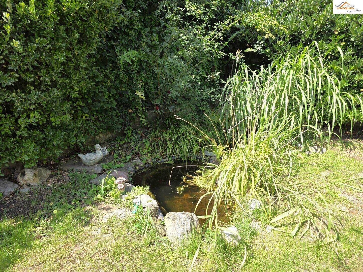 Kleiner Gartenteich mit Wasserpflanzen und dekorativen Elementen in einer grünen Umgebung.