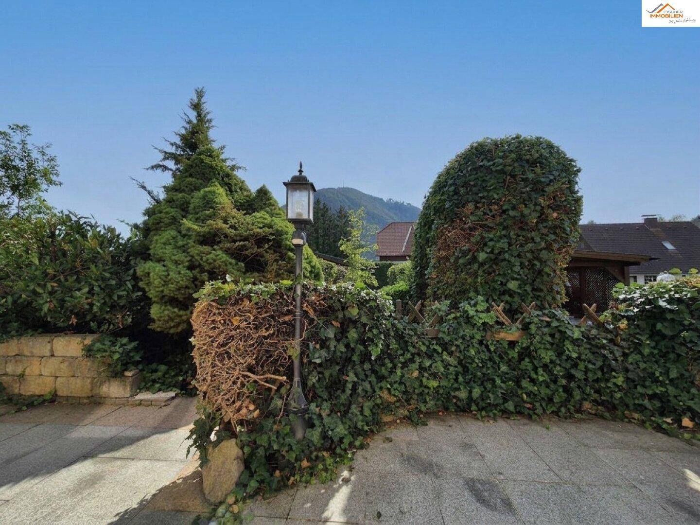Dichte Hecke entlang der Auffahrt mit einer traditionellen Straßenlaterne und Bergblick.