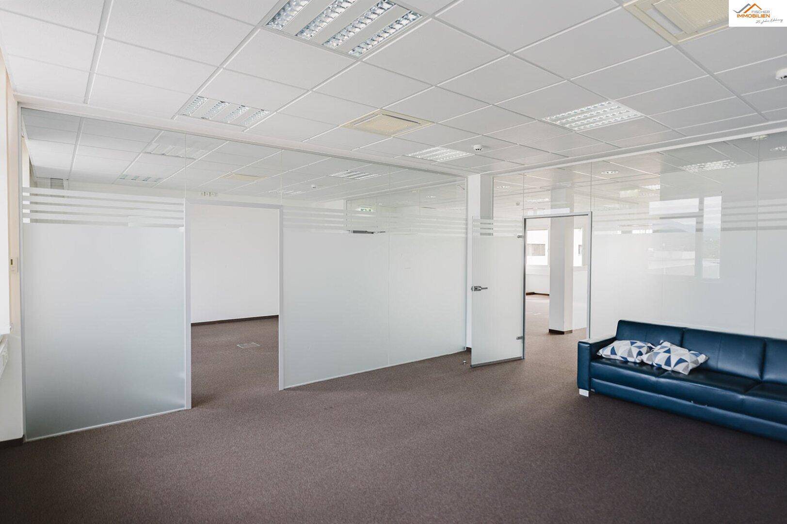 Geräumiges Büro mit Teppichboden, Glaswänden und einer blauen Couch, ideal für flexible Arbeitsplatzgestaltung.