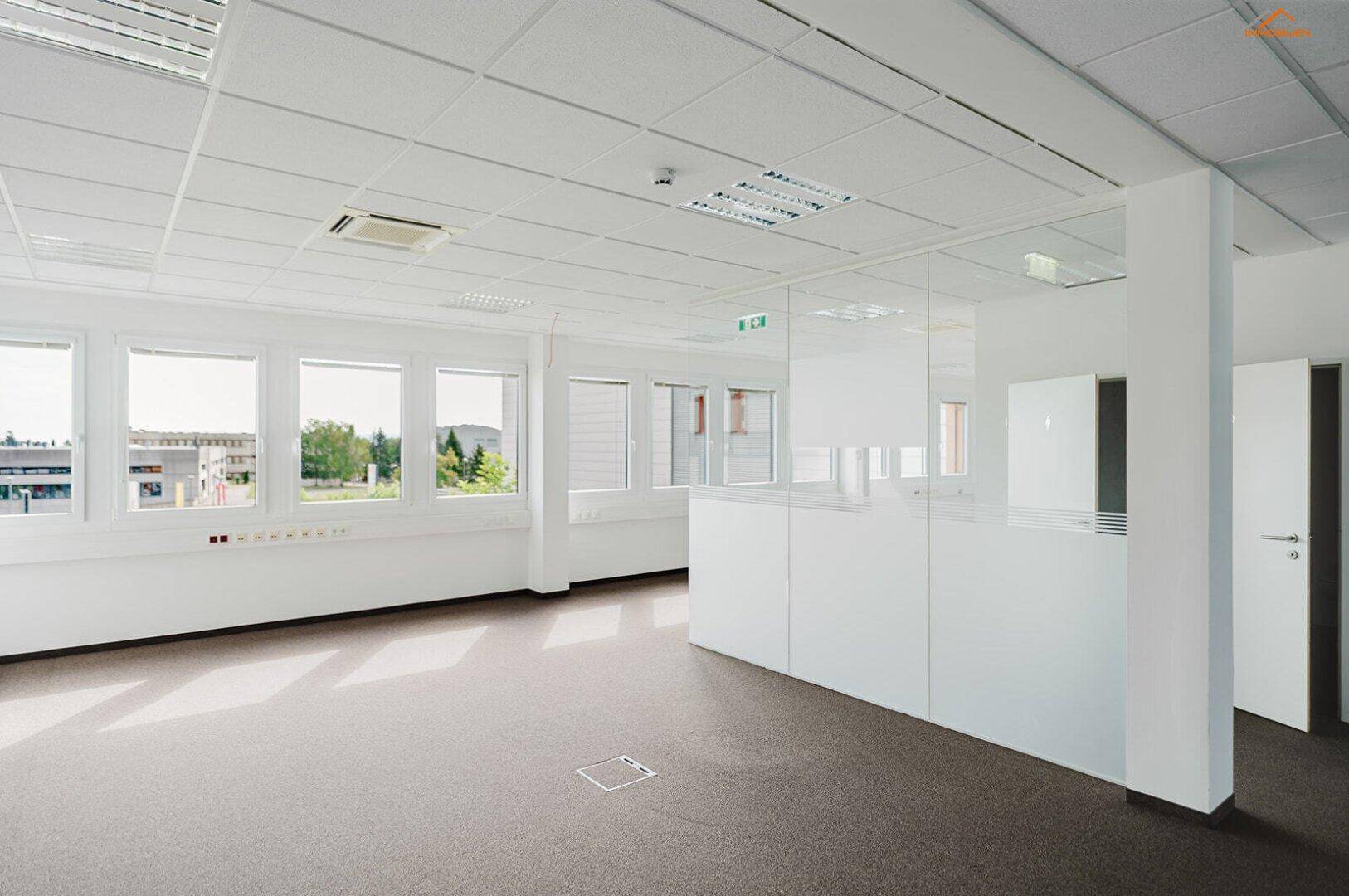 Geräumiges Großraumbüro mit viel Tageslicht, Teppichboden und modernen Glaswänden für eine flexible Raumgestaltung.