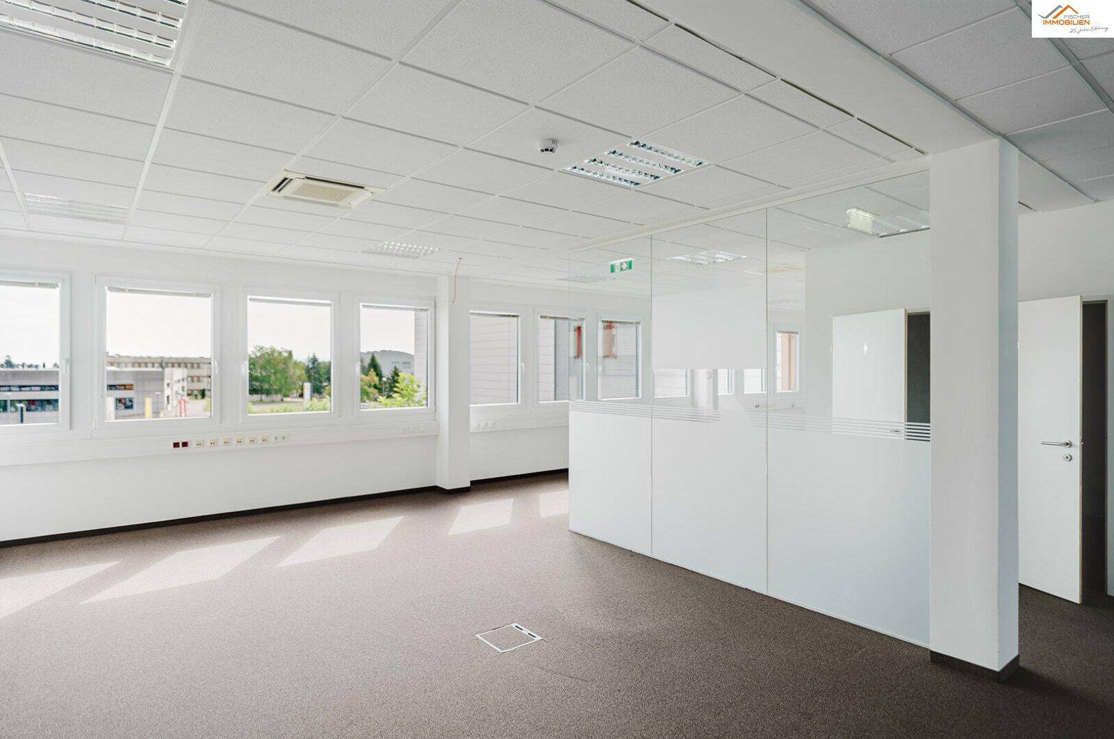 Großes, helles Büro mit Teppichboden, vielen Fenstern und modernen Glasabtrennungen für eine offene Atmosphäre.