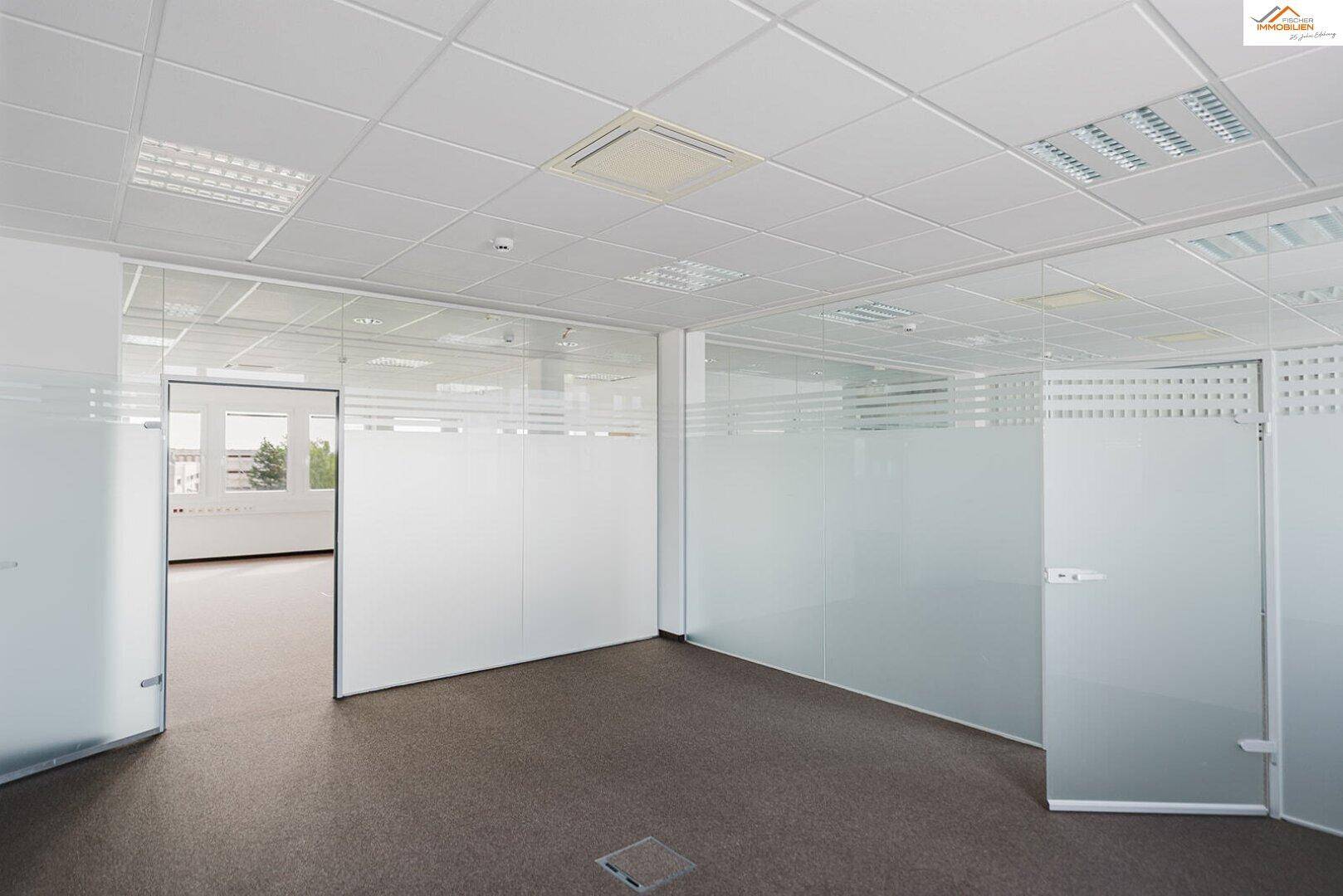 Modernes Büro mit Teppichboden und Glaswänden, die flexible Raumaufteilung und viel Tageslicht ermöglichen.