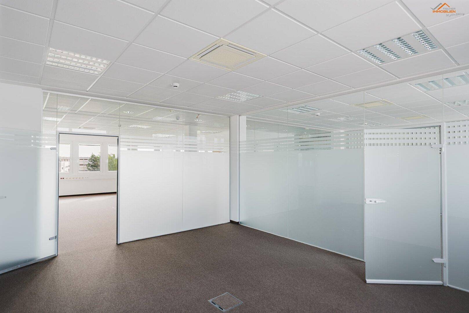 Modernes Büro mit flexiblen Glasabtrennungen und Teppichboden, das eine helle und anpassungsfähige Arbeitsumgebung bietet.
