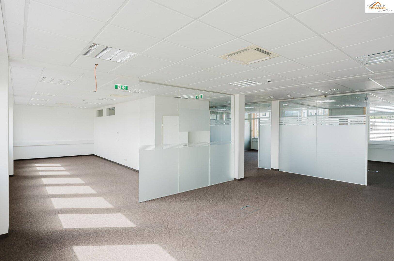 Großes, helles Büro mit Teppichboden, vielen Fenstern und modernen Glasabtrennungen für eine offene Atmosphäre.