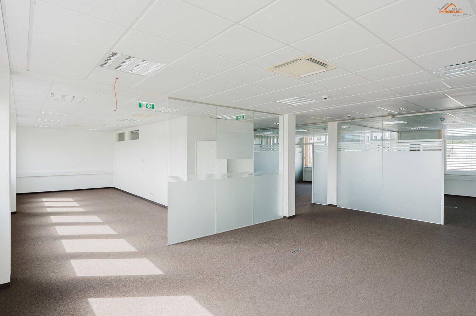 Großzügiges Büro mit viel Tageslicht, Teppichboden und modernen Glasabtrennungen, die eine offene Atmosphäre schaffen.