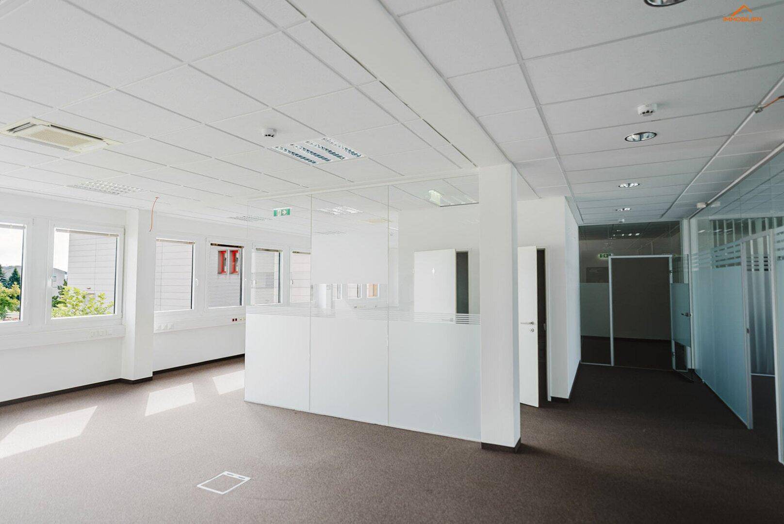 Helles Großraumbüro mit Teppichboden, abgehängter Decke und modernen Glasabtrennungen für flexible Arbeitsbereiche.