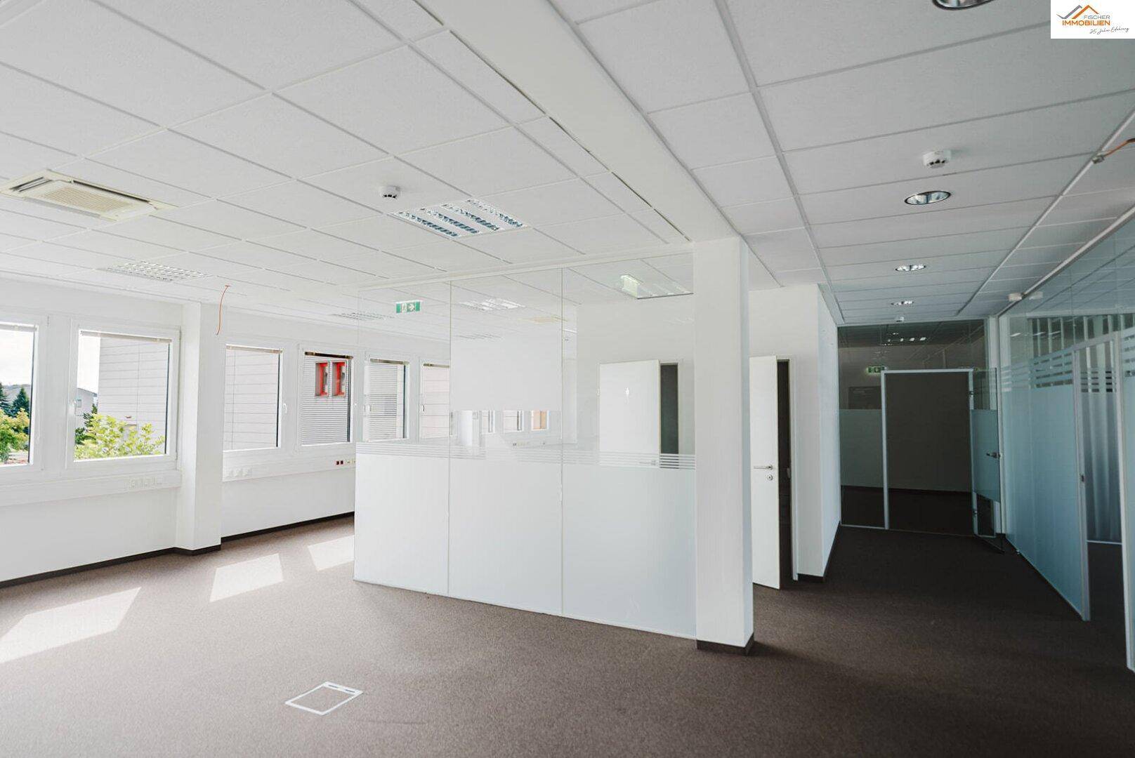 Helles, offenes Büro mit Teppichboden, großen Fenstern und modernen Glaswänden für flexible Arbeitsbereiche.