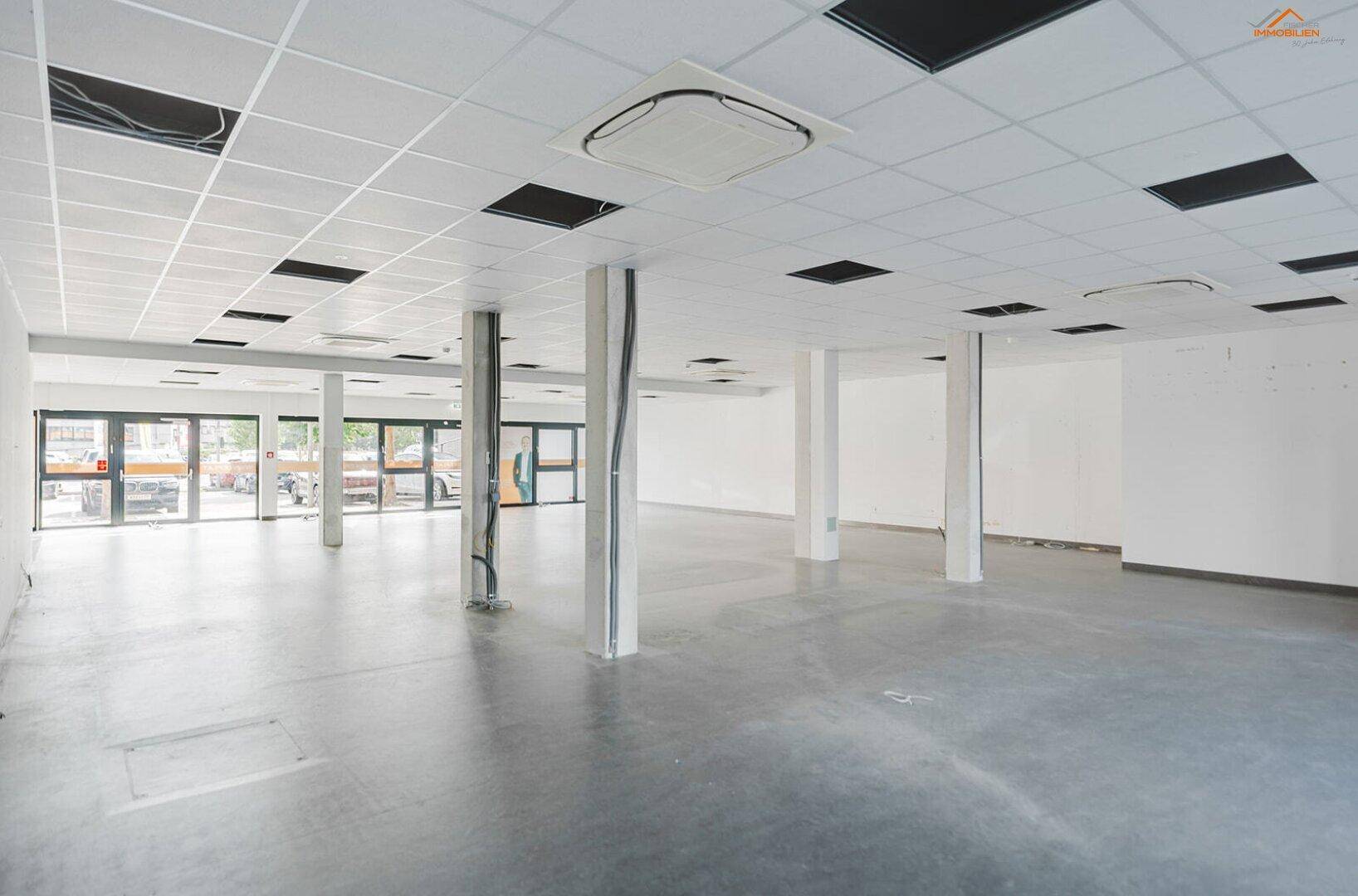 Geräumiger, leerer Gewerberaum mit abgehängter Decke, Betonboden und großen Glasfronten zum Außenbereich.