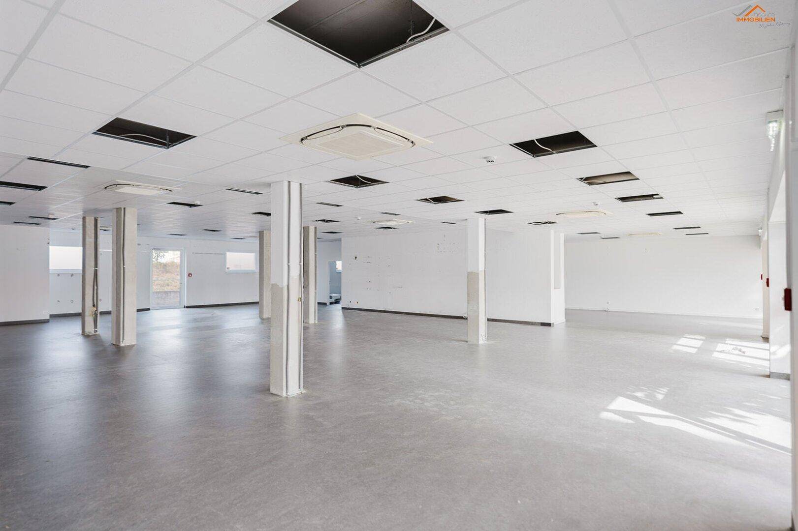 Großer, heller Gewerberaum mit vielen Säulen, abgehängter Decke und glattem Betonboden, ideal für flexible Nutzung.