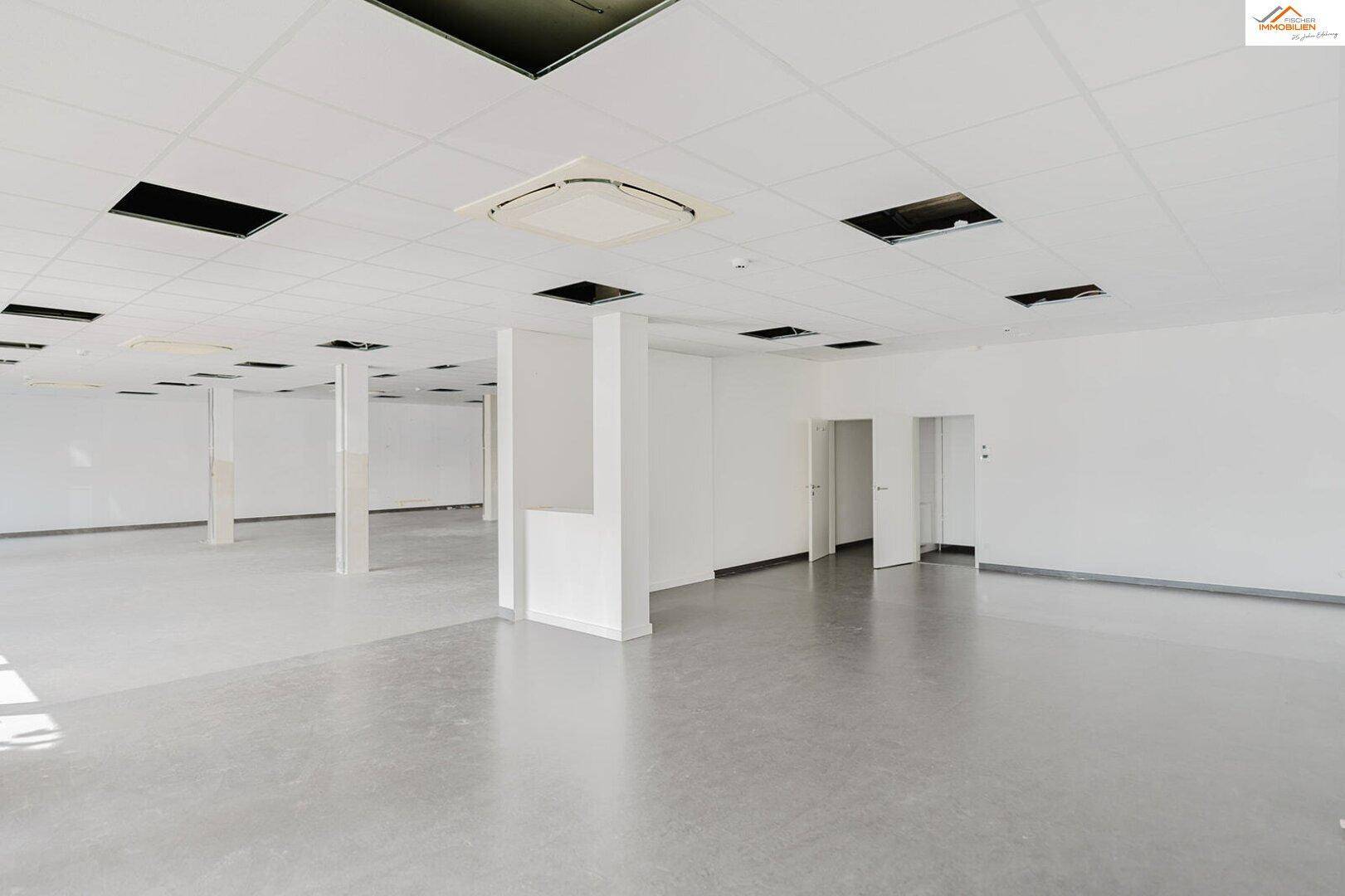 Weitläufiger, leerer Gewerberaum mit Säulen, abgehängter Decke und viel Tageslicht.
