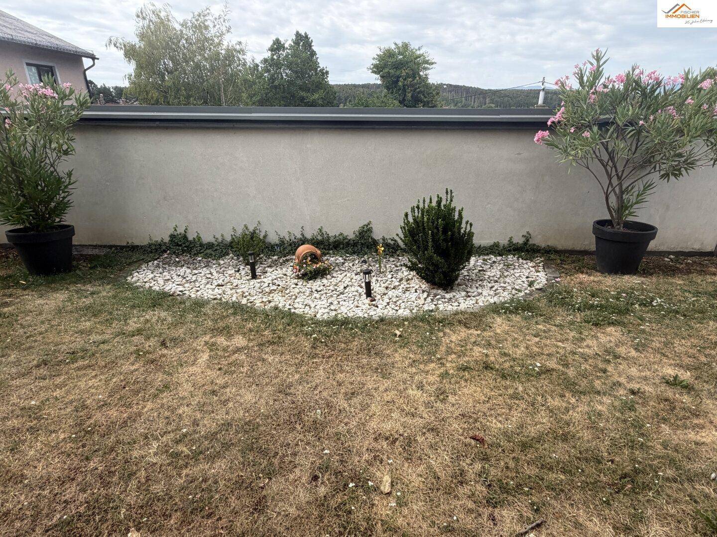 Zierbeet im Garten mit weißen Steinen, kleinen Pflanzen und blühenden Sträuchern.