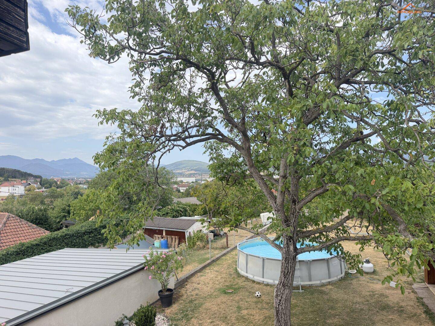 Gartenbereich mit Aufstellpool und altem Baum, umgeben von grüner Landschaft und Bergen.