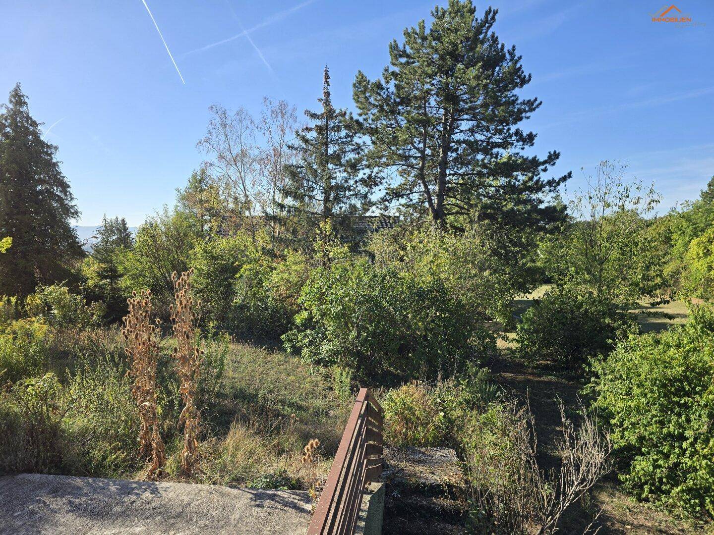 Naturbelassener Gartenbereich mit üppiger Vegetation und hohen Bäumen unter blauem Himmel.