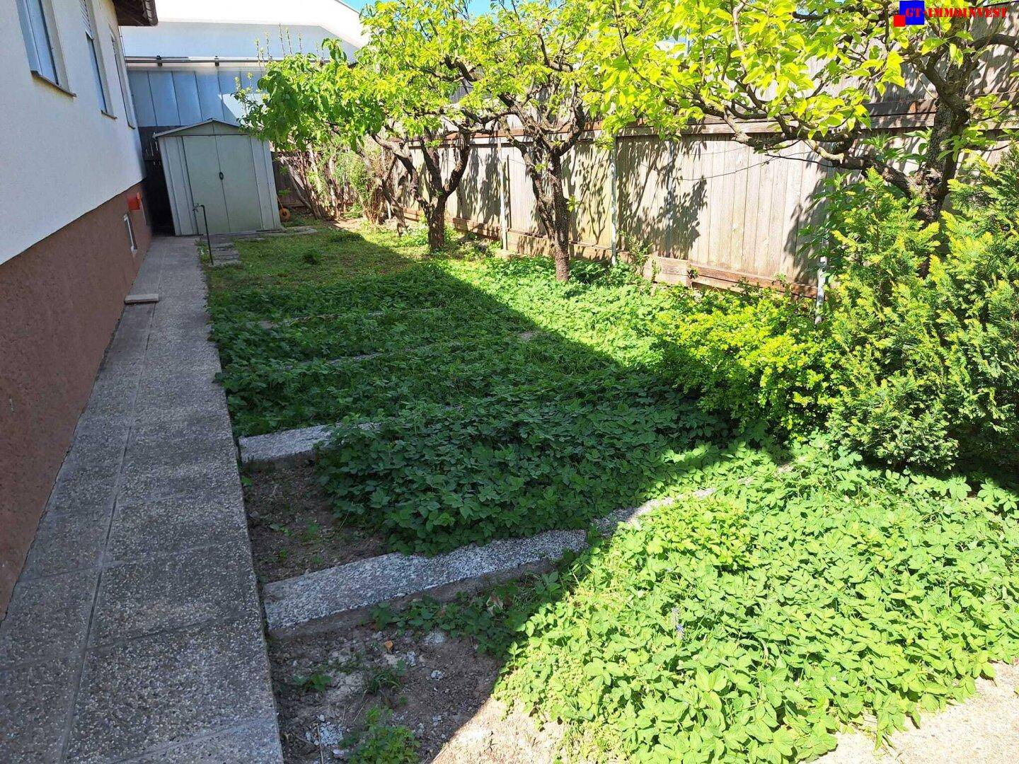 Schattiger Gartenbereich mit üppigem Grün, Bäumen und einem kleinen Geräteschuppen im Hintergrund.