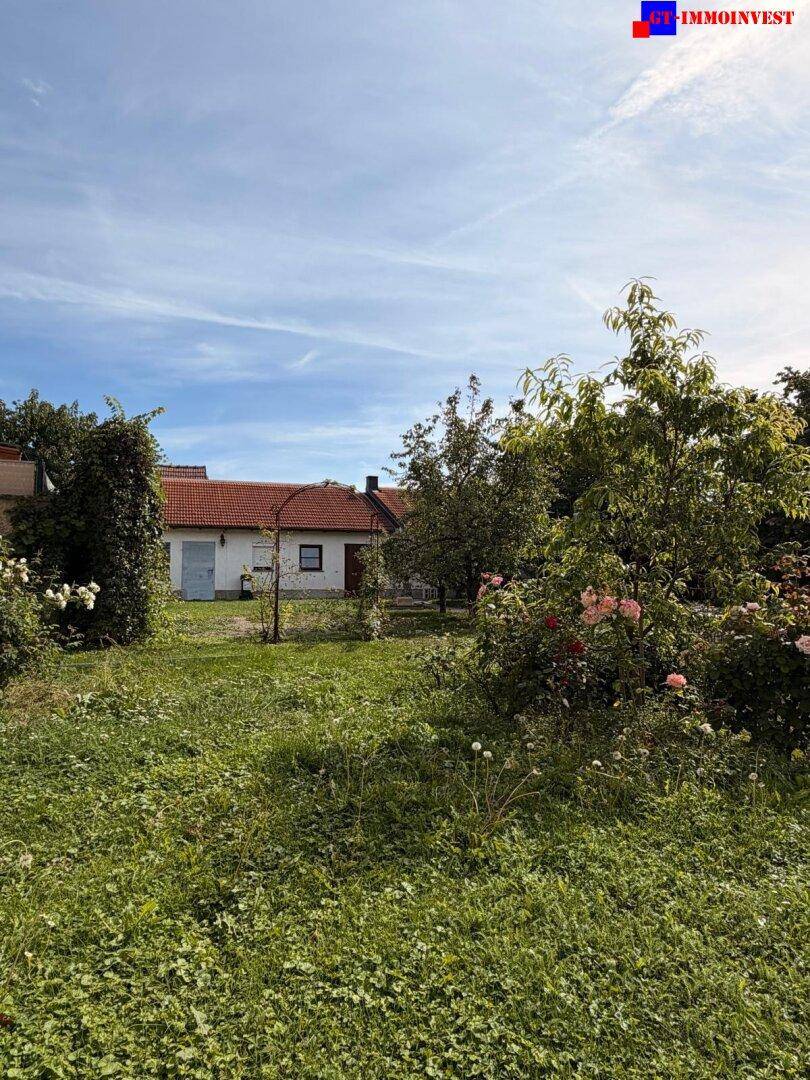 Blick durch den weitläufigen Garten mit Rosenbüschen und einem Gartenbogen auf ein Nebengebäude.